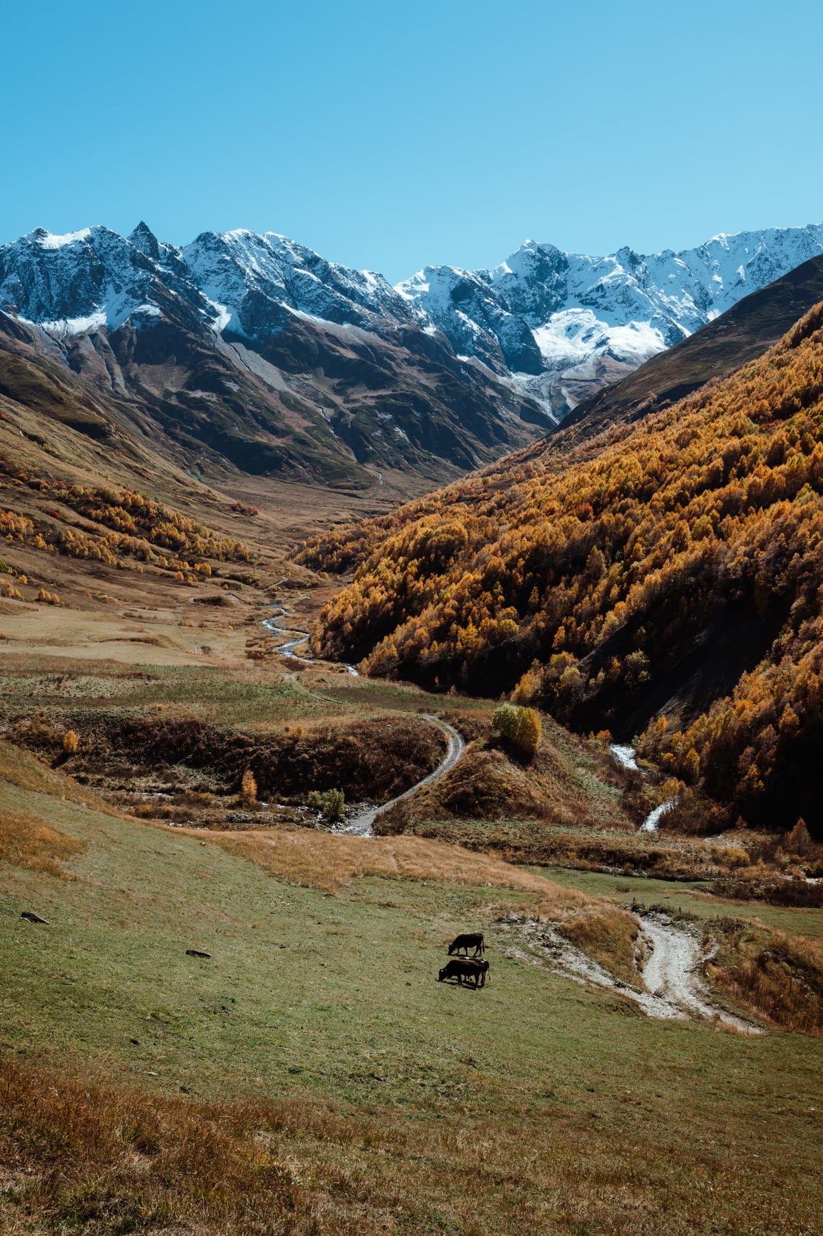 End of the World — Ushguli, Georgia — frame